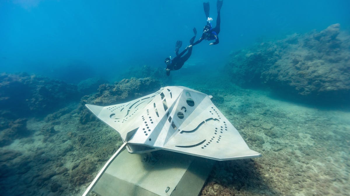 Two divers next to a big underwater Manta Ray sculpture
