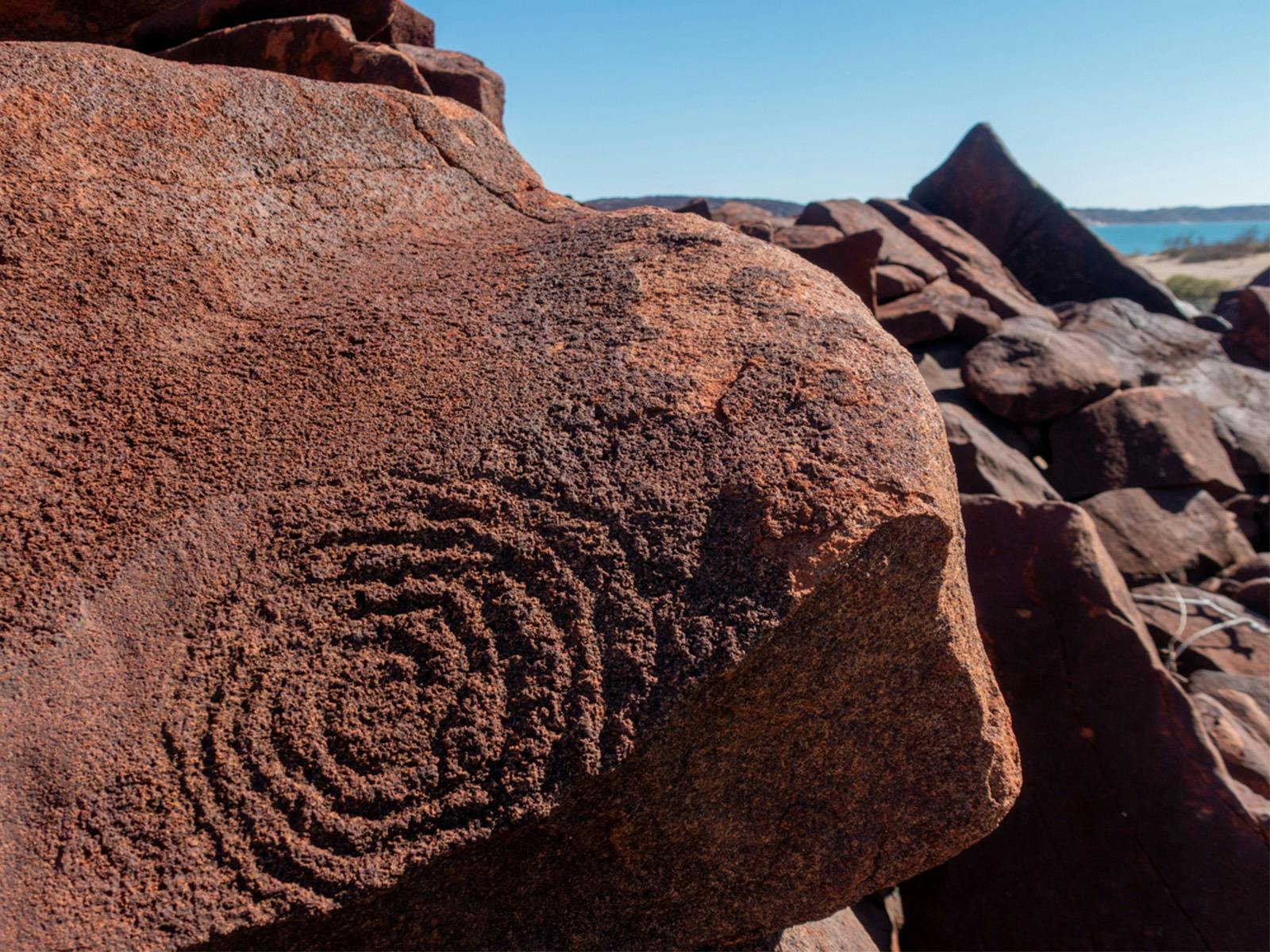 Coral Expeditions - Western Australia, Spearwood, Western Australia