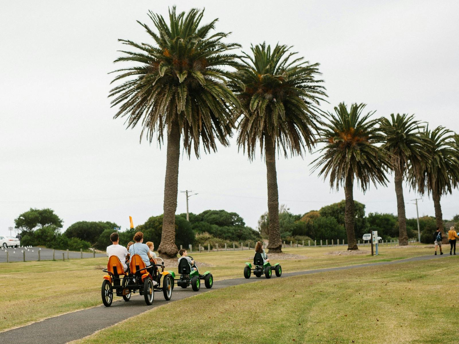 Pedal buggies winter warmth and family fun image