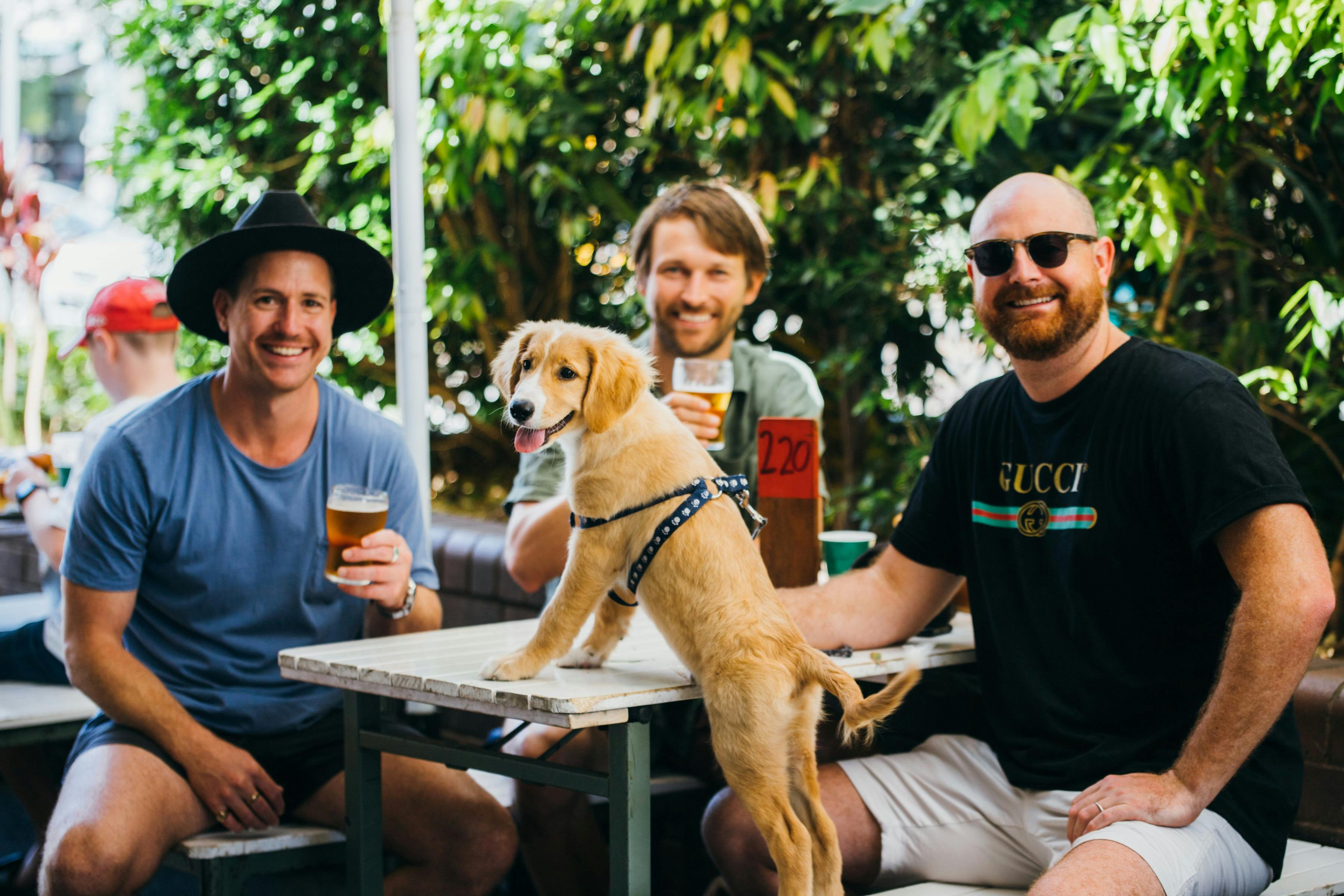 テーブルに座る人々と犬