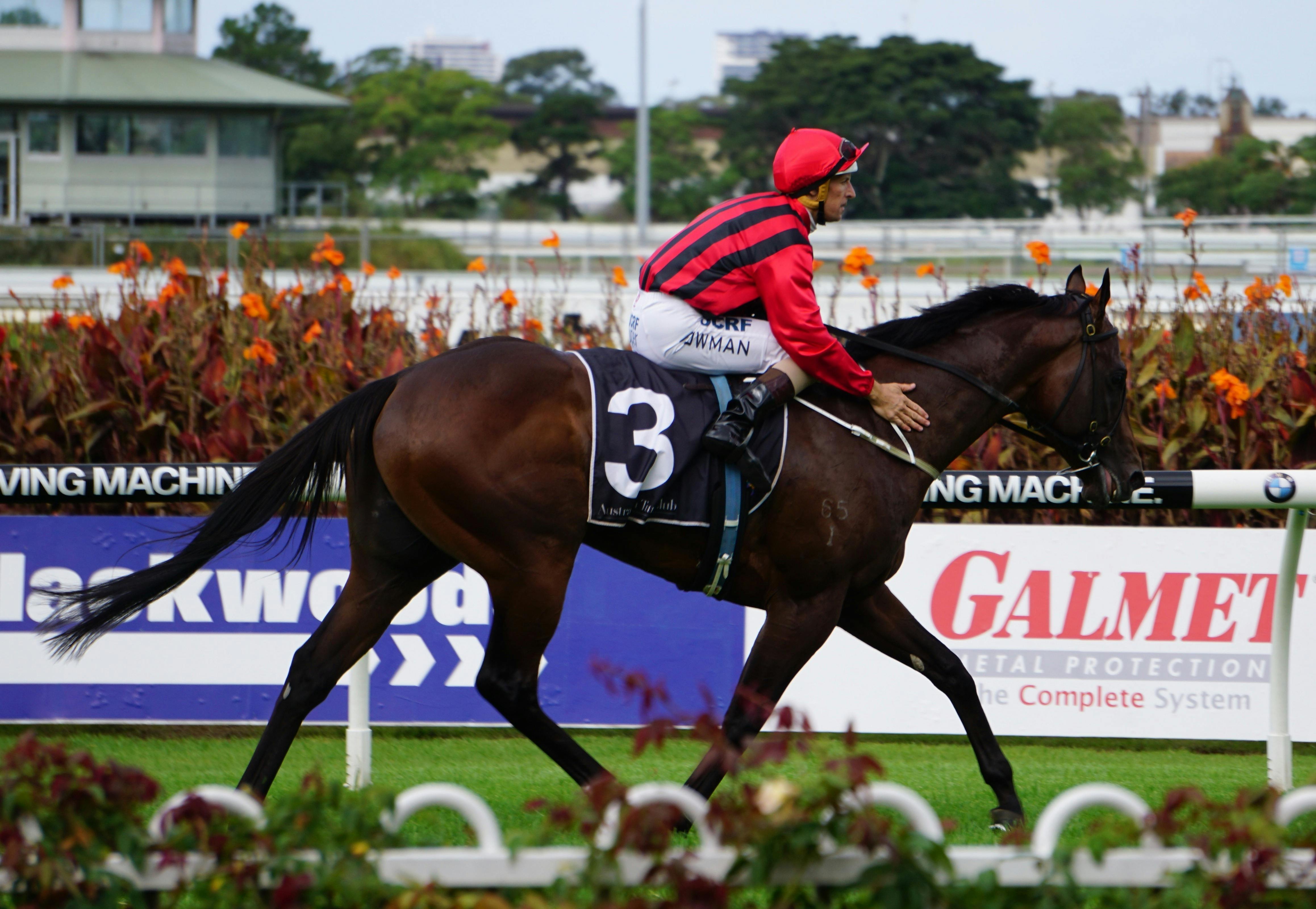 Hallowed Crown Package