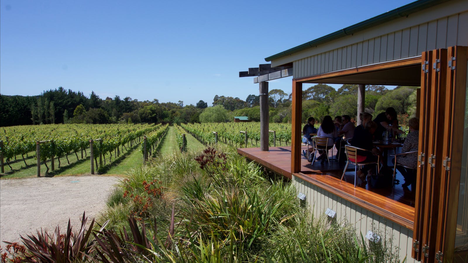 Vines and Dining at Merricks Creek