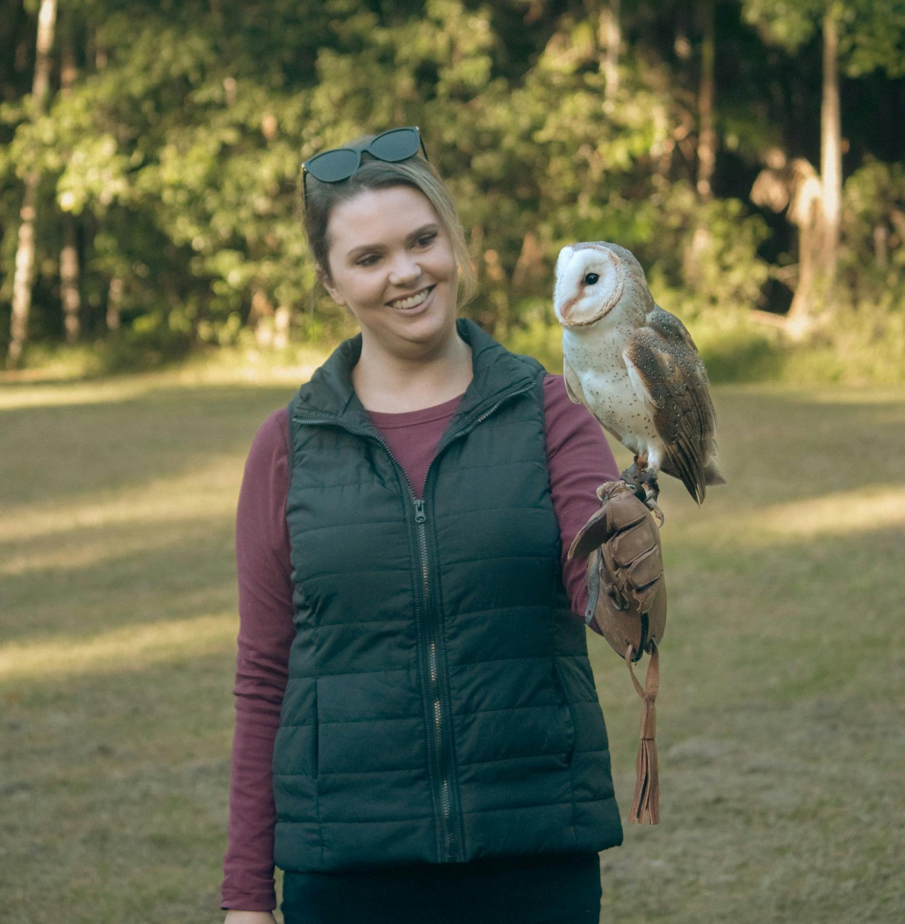 Forest Flight Owl Encounter