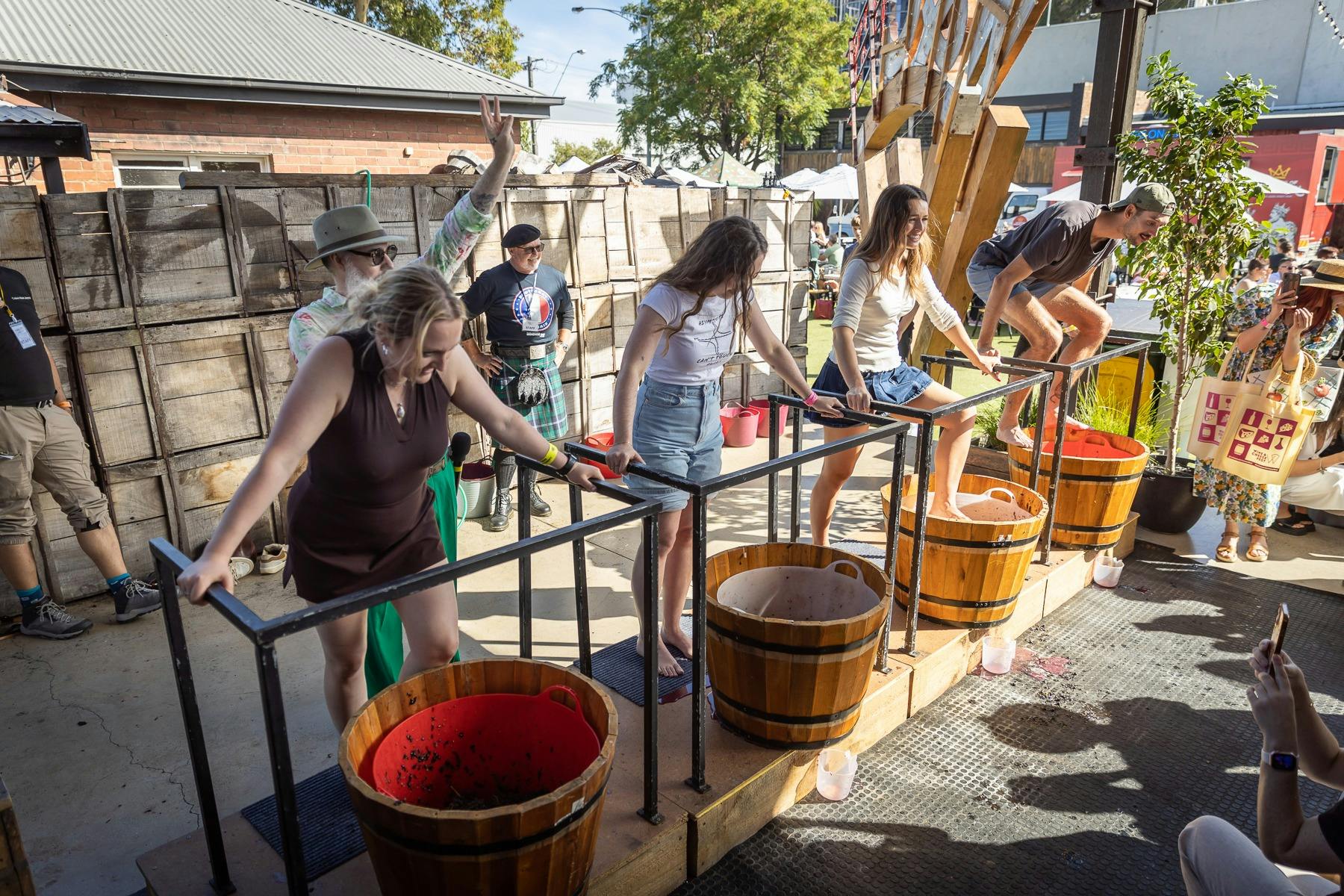 Grape Stomp Competition