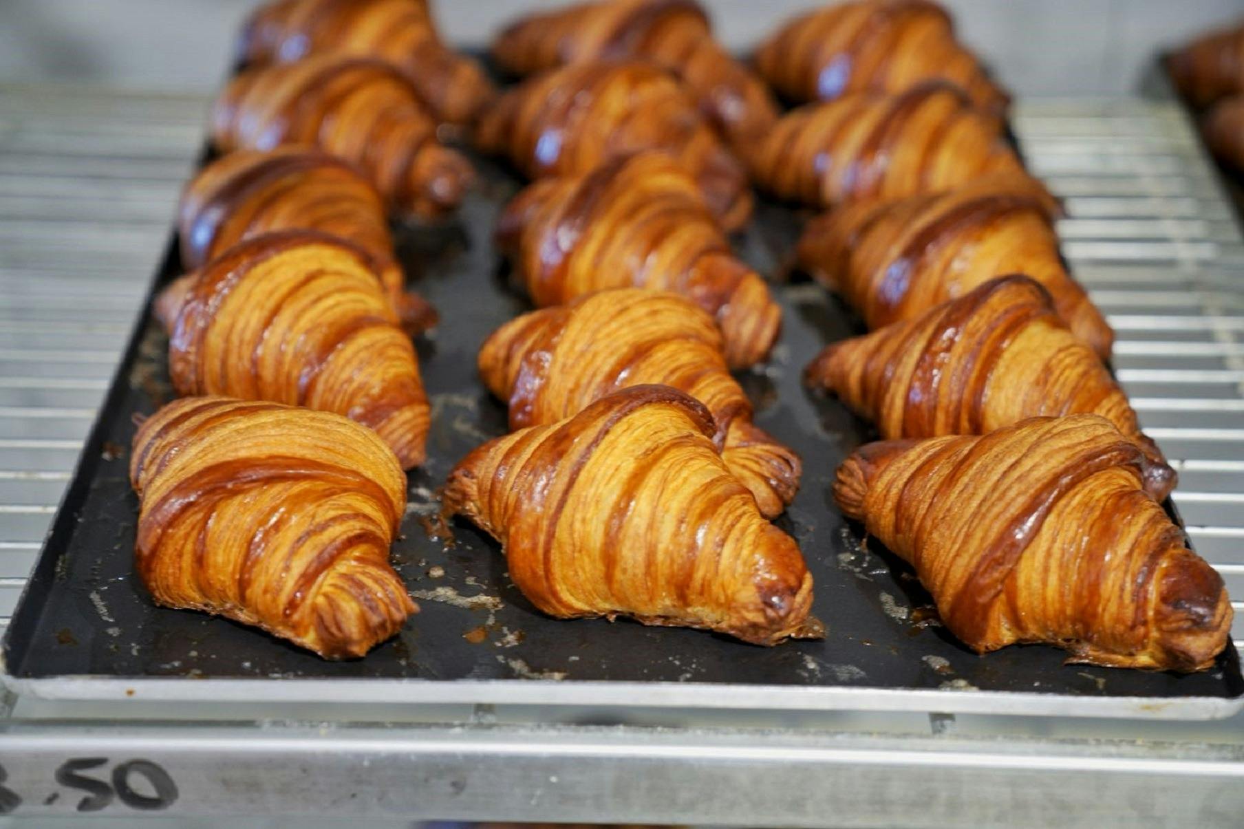 Black Cockatoo Bakery Katoomba NSW Holidays & Things