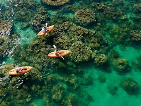 Kayaking Over Fringing Reefs, Mackerel Islands, Western Australia