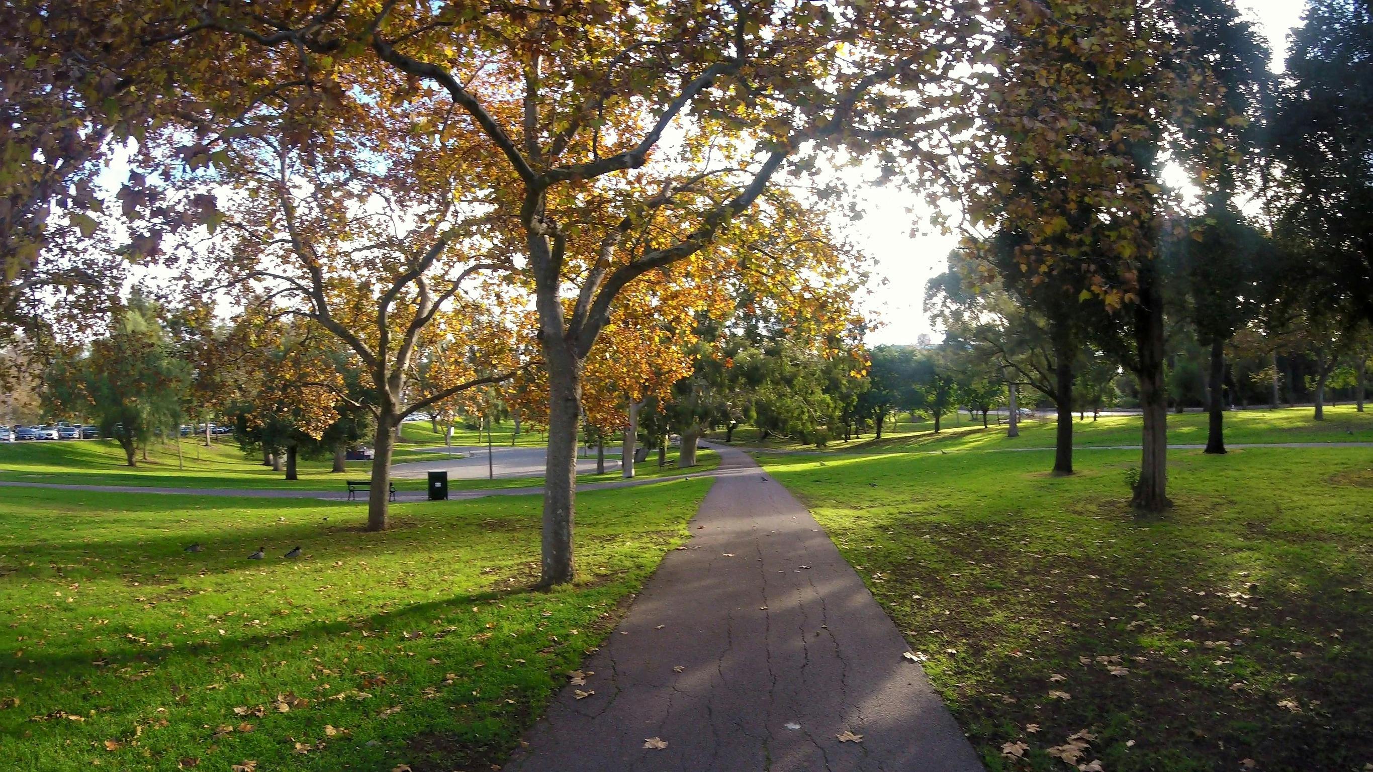 Guided Walk through Rundle Park / Kadlitpina (Park 13)