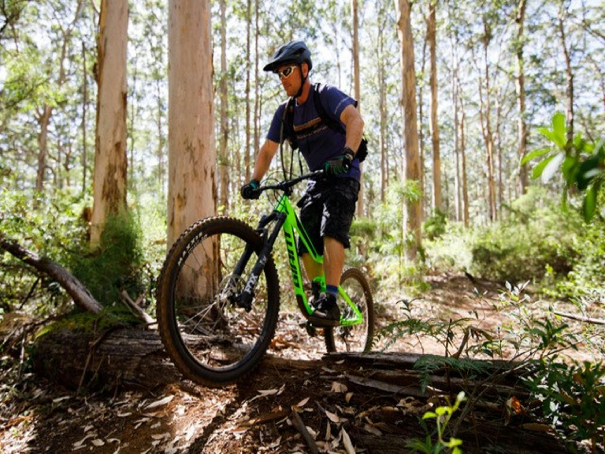 dirty detours mountain bike adventures