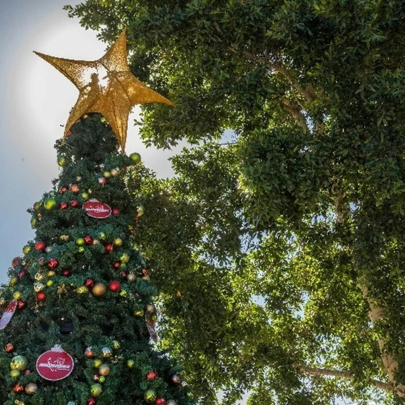 Redcliffe Peninsula Christmas Carols