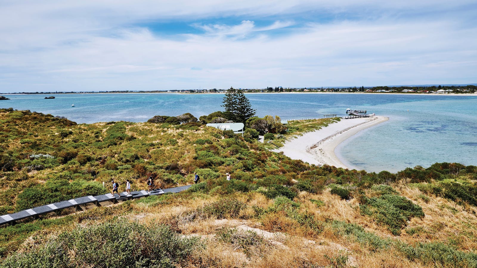 Penguin Island
