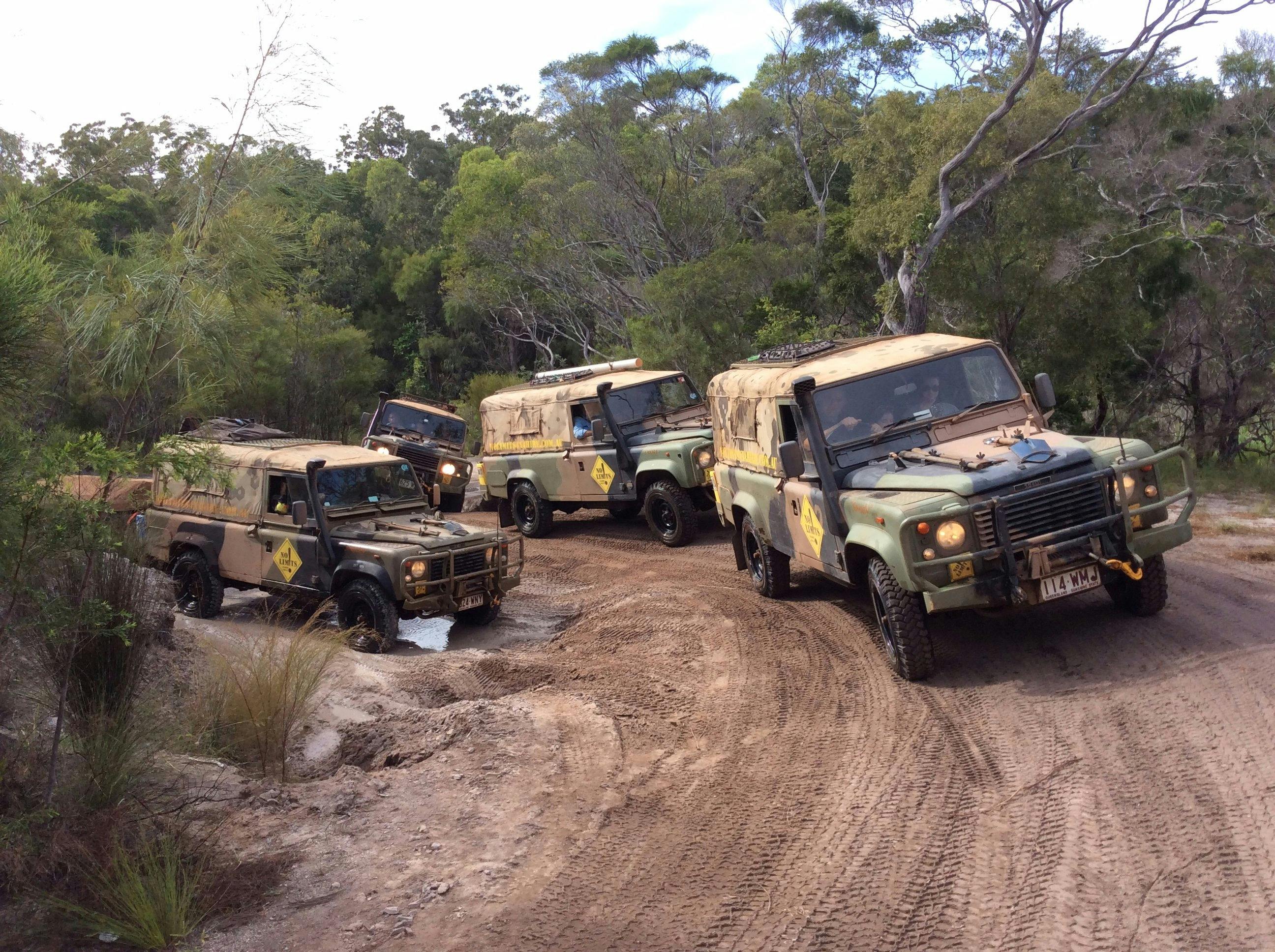 Our Perenties on the Old Telegraph Track, Cape York