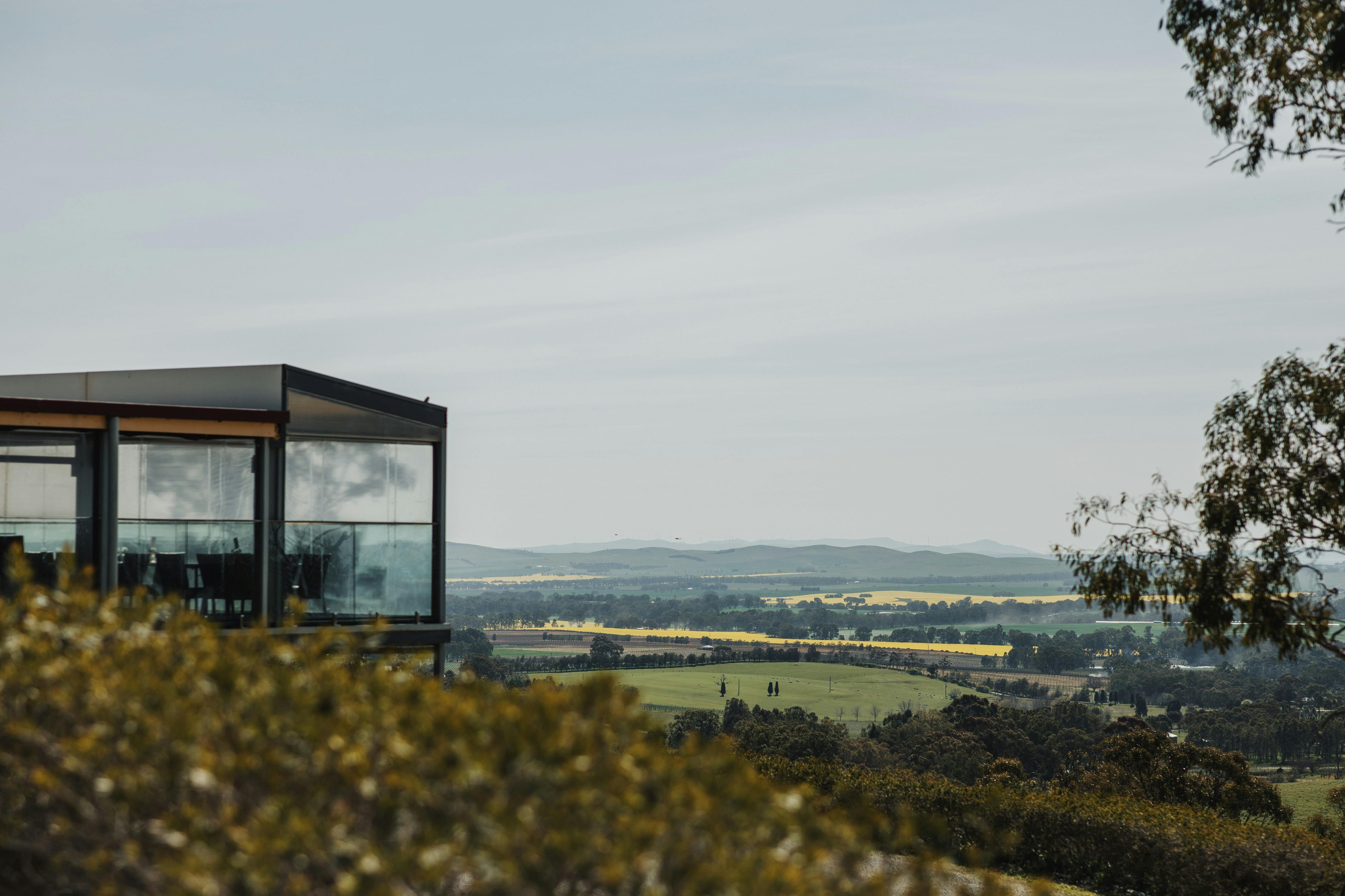 Clare Valley Winery