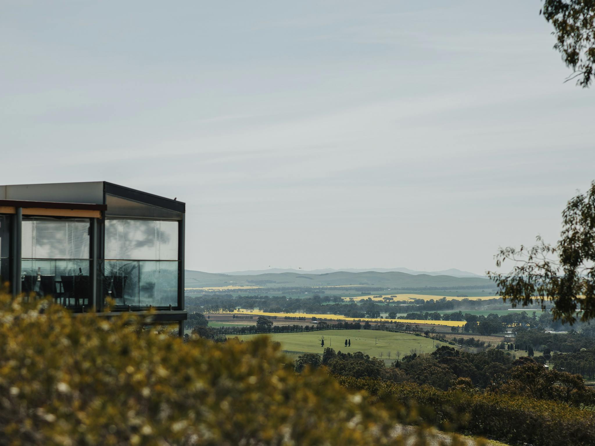 Clare Valley Winery