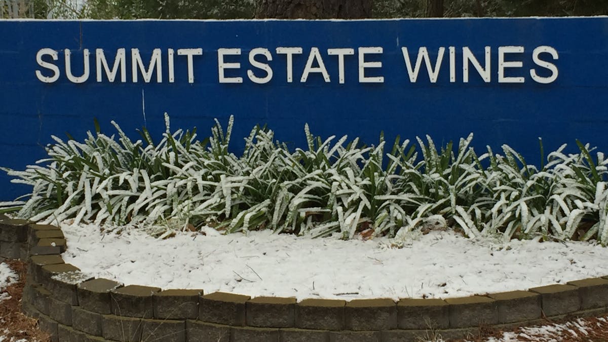 Cool Climate Vineyard