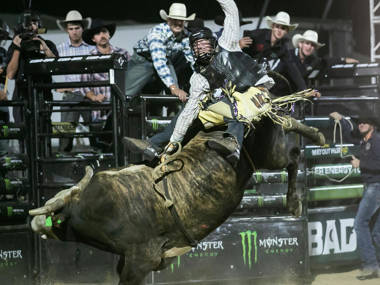 Image for Winton's Way Out West Fest Presents PBR's BAD