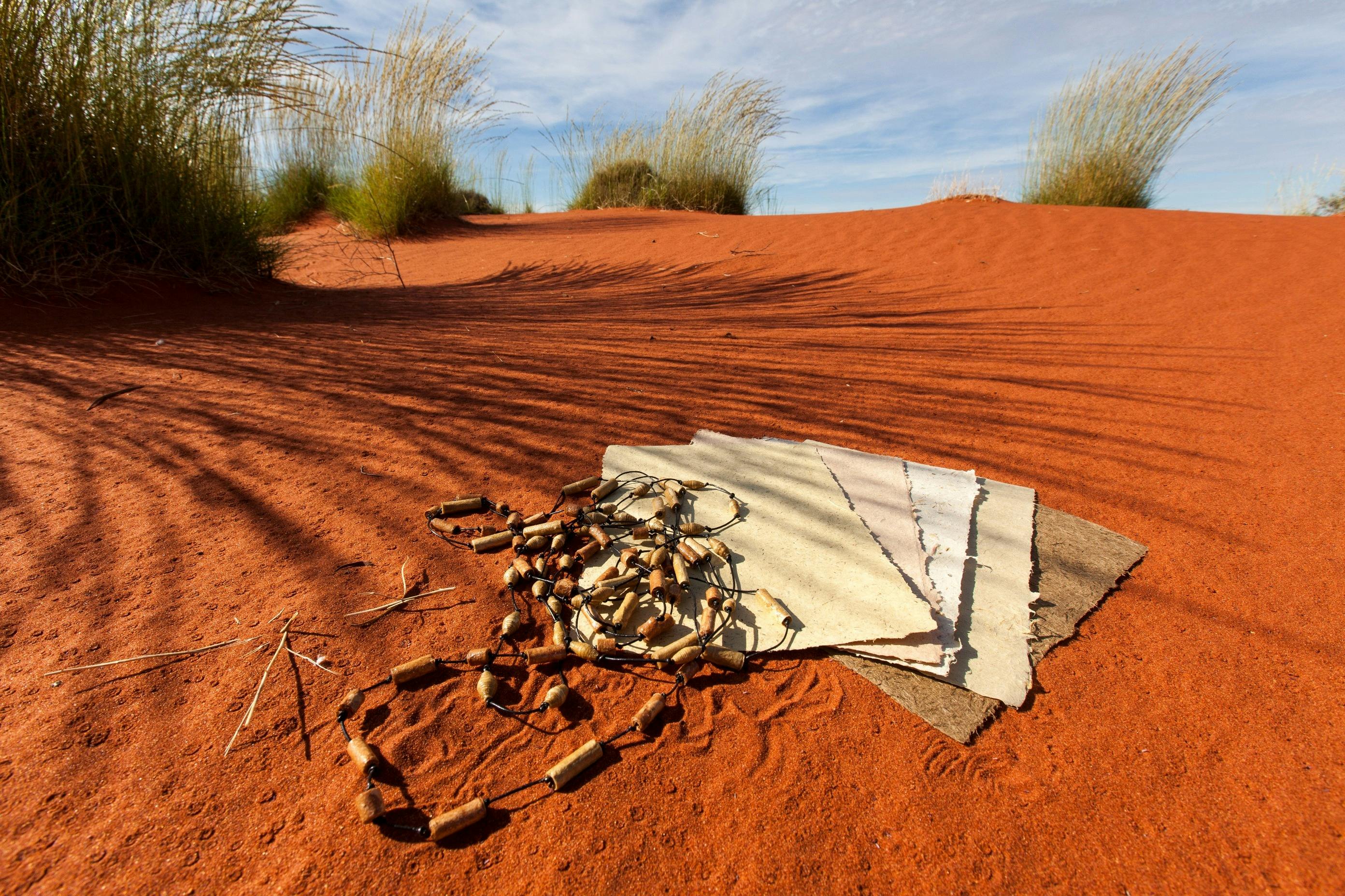 Curtin Springs Paper