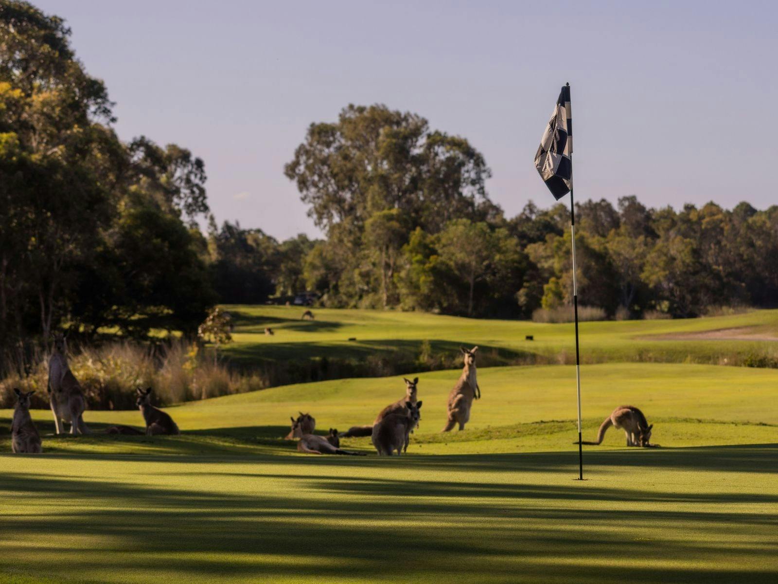 Pacific Harbour Golf & Country Club