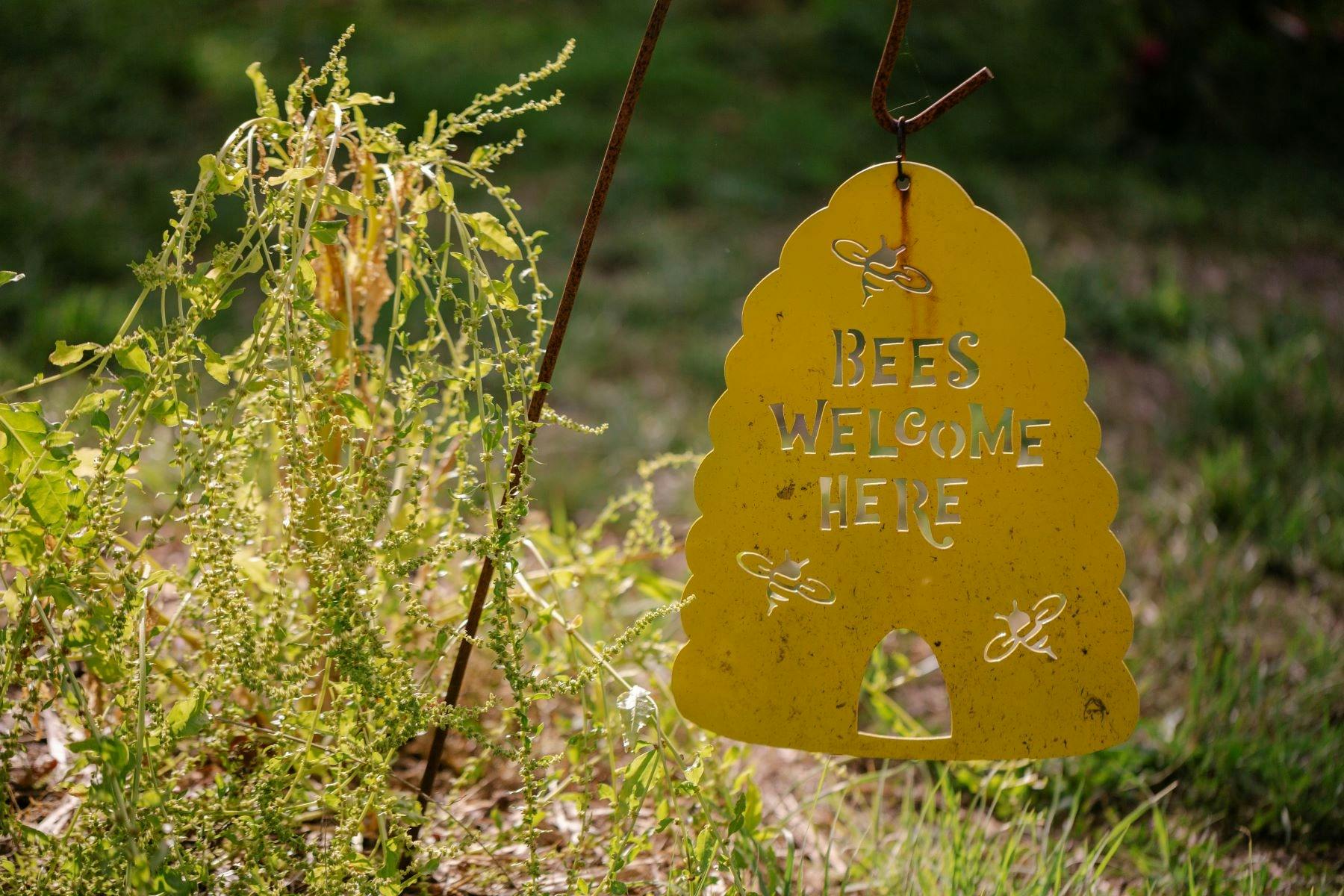A sign in on a farm saying 'bees welcome here'