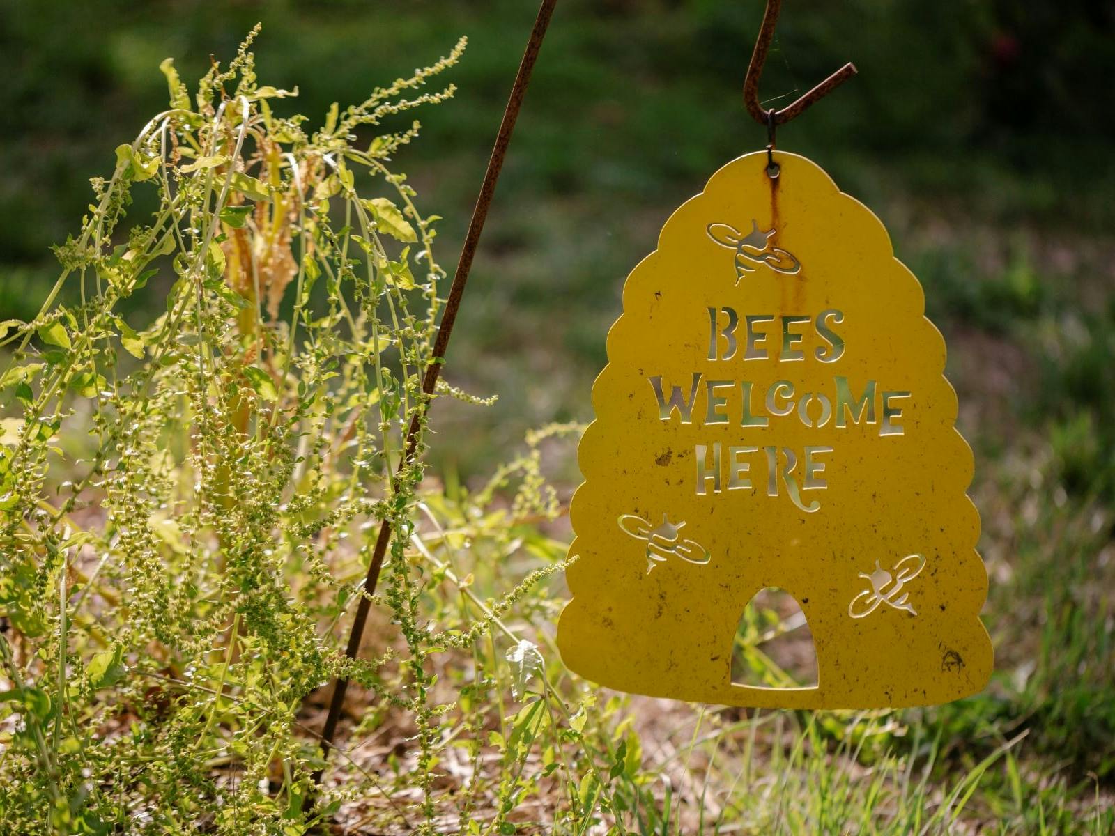 A sign in on a farm saying 'bees welcome here'