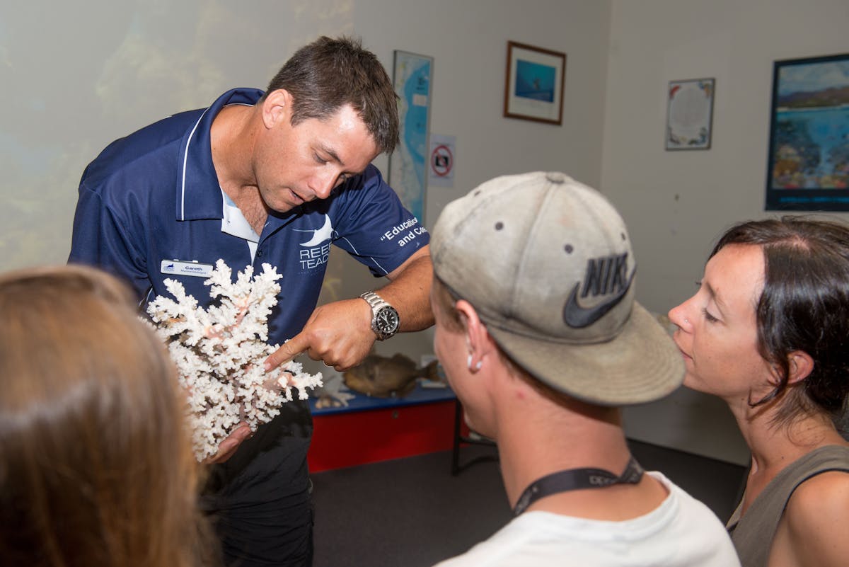 Real live specimens give deeper understanding of the Great Barrier Reef
