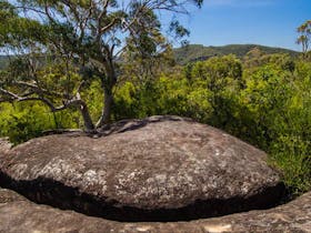 Marramarra Ridge to Smugglers Ridge walking track