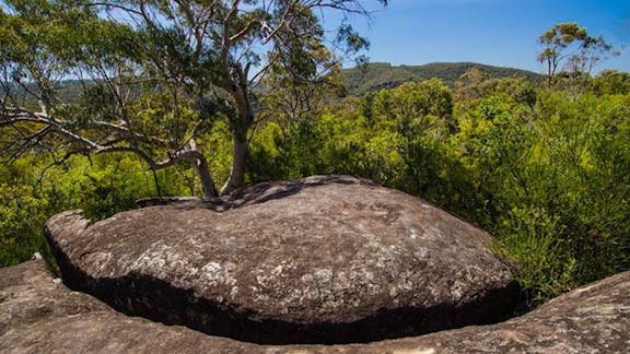 Marramarra Ridge to Smugglers Ridge walking track