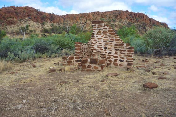 Illamurta Springs Conservation Reserve