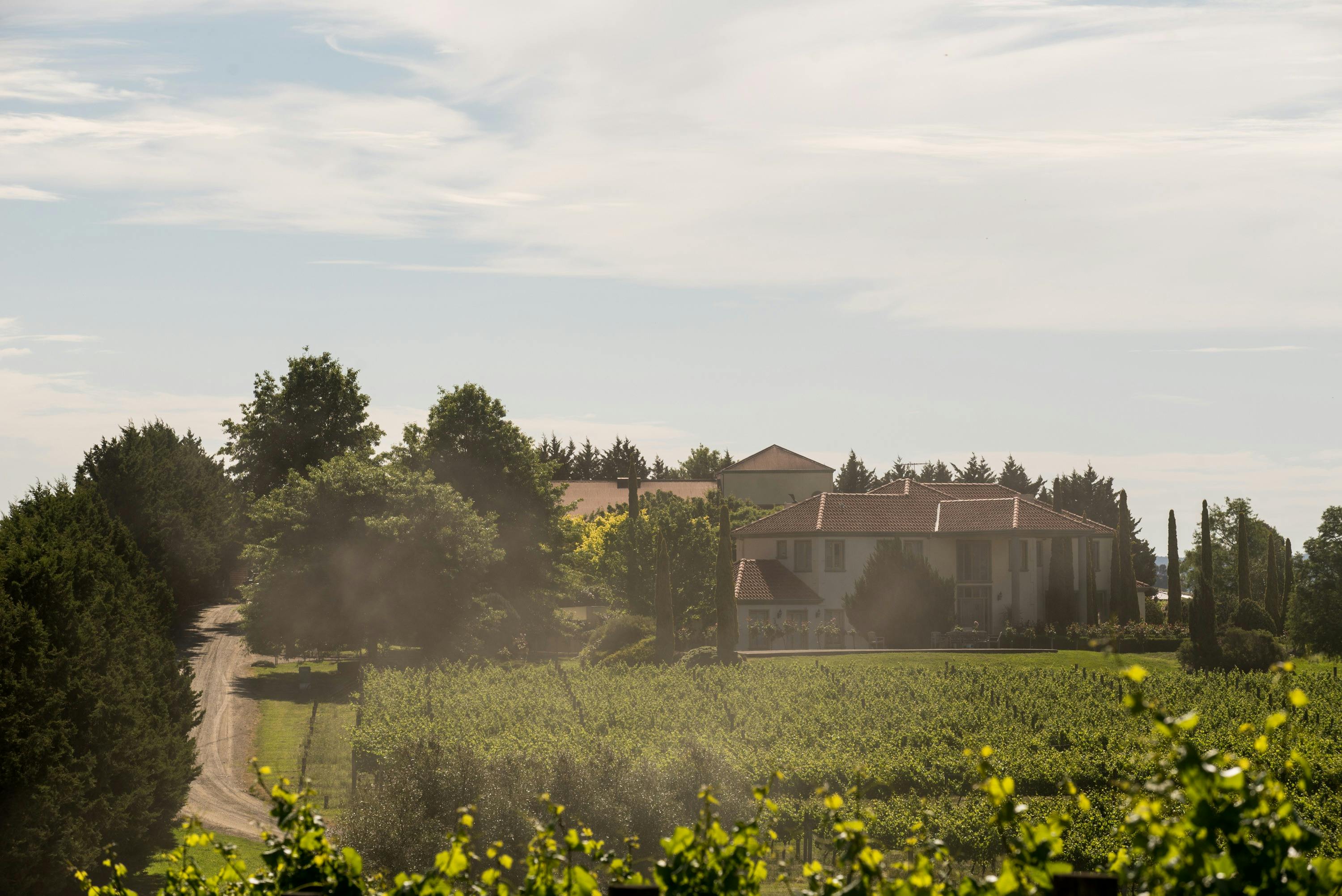 Tokar Estate Winery