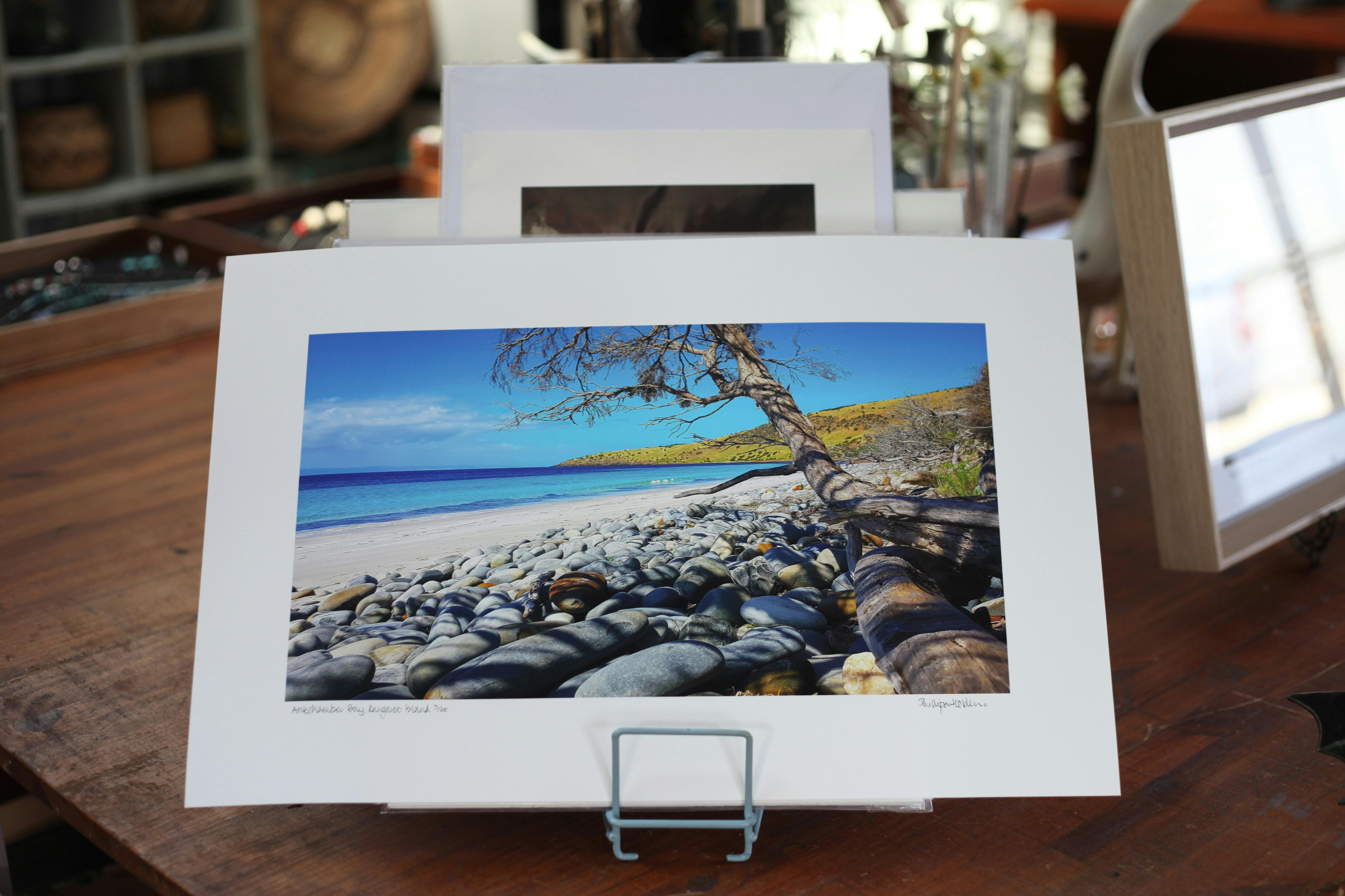 Shoal Bay Studio