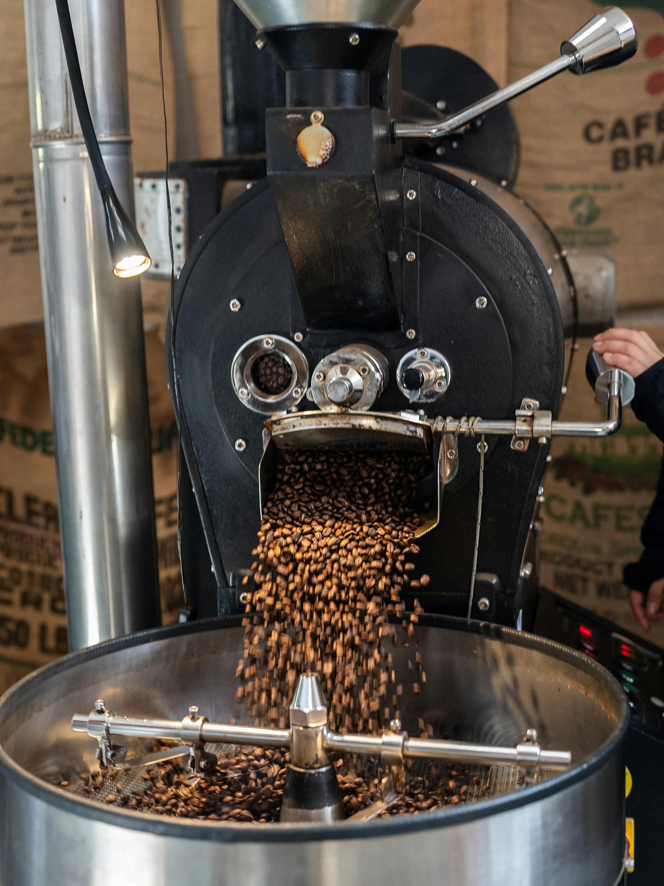 Freshly roasted coffee
