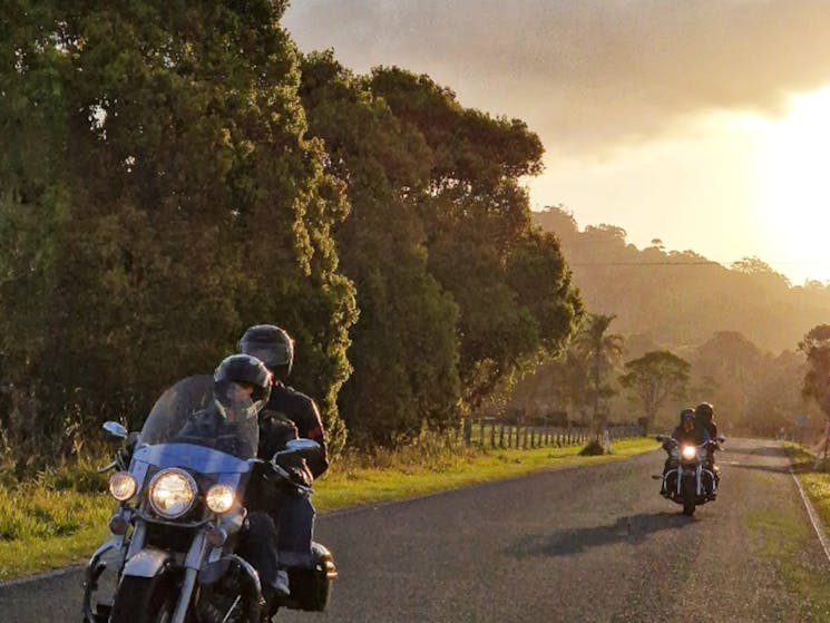 Two motorcycles riding down a tree lined country road in the evening light