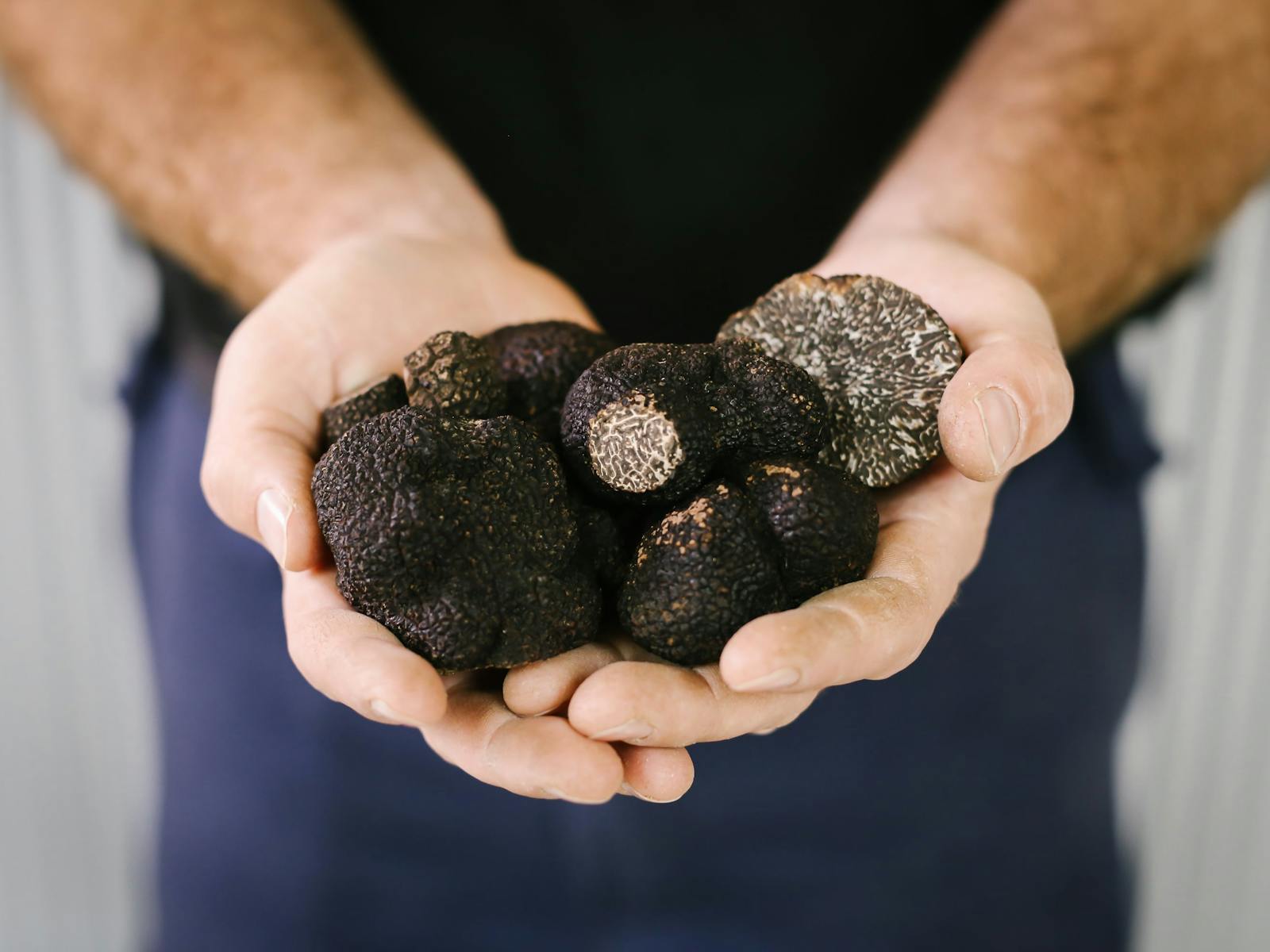 The Truffle Farm Canberra