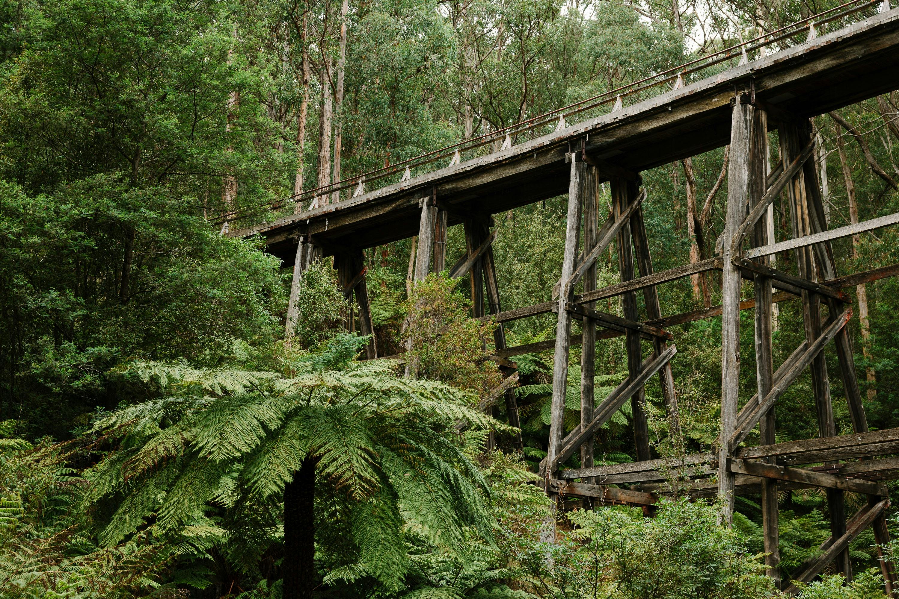 Enjoy a walk and picnic at Noojee Trestle Bridge