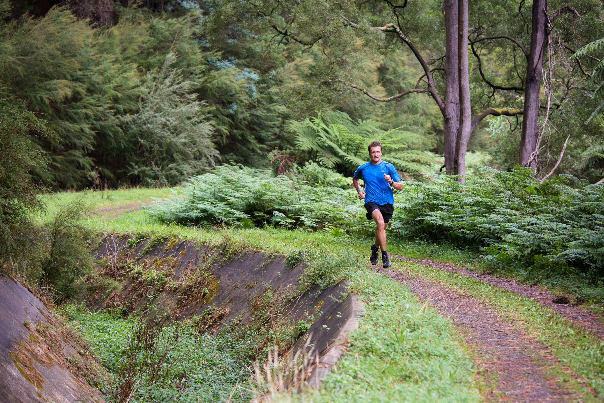 Flat and fast describes the 14km Sawmill Grove run, part of the Warburton Trail Fest