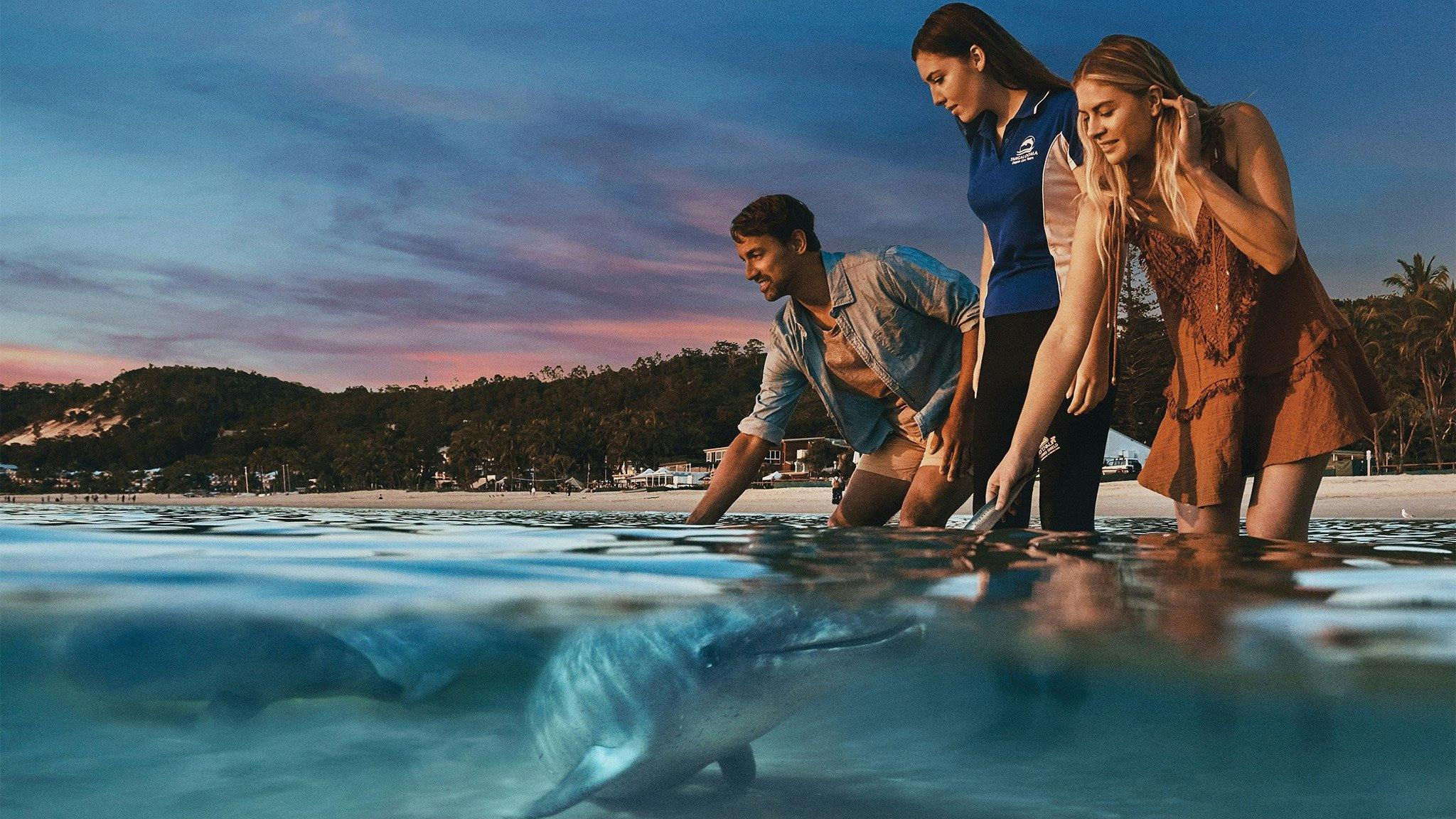 Wild Dolphin Feeding - Exclusive to guests of Tangalooma Island Resort. Conditions apply