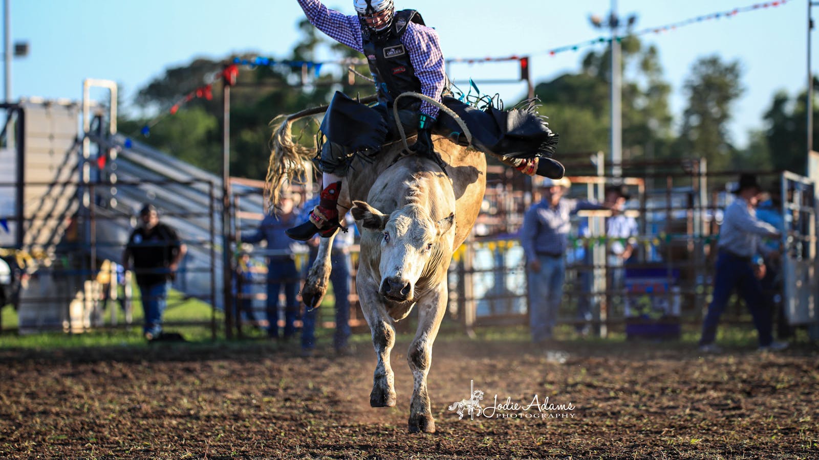 Maitland Rodeo