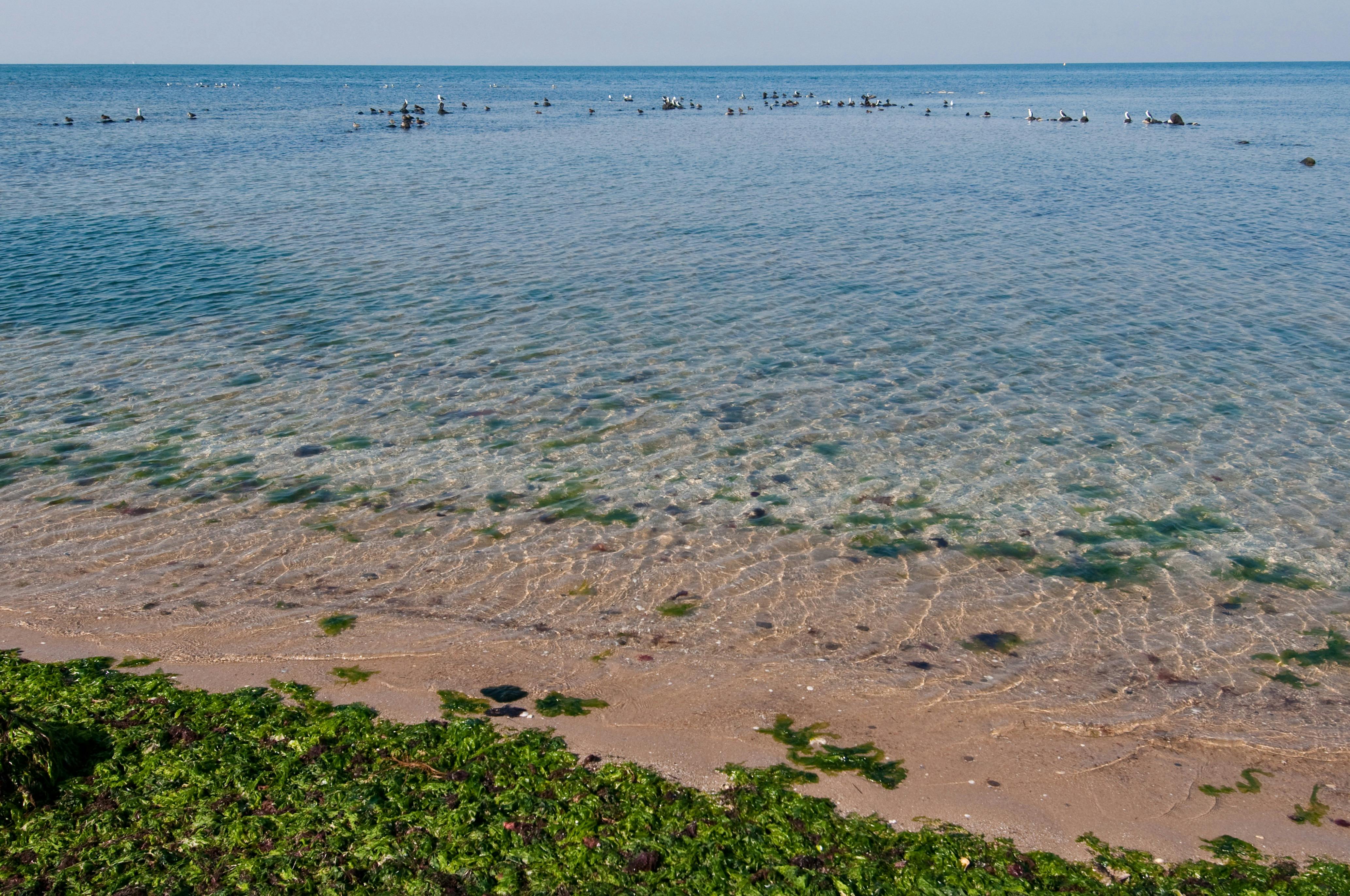 Point Cook Coastal Park