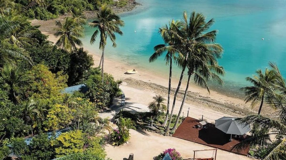 Deck on a beach amongst palm trees.