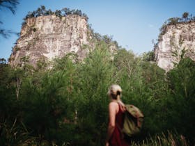 Carnarvon Gorge main walking track has stunning sandstone cliff faces guiding your walk