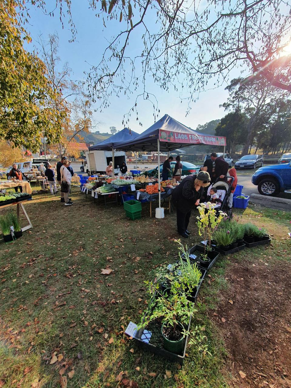Don Market photo