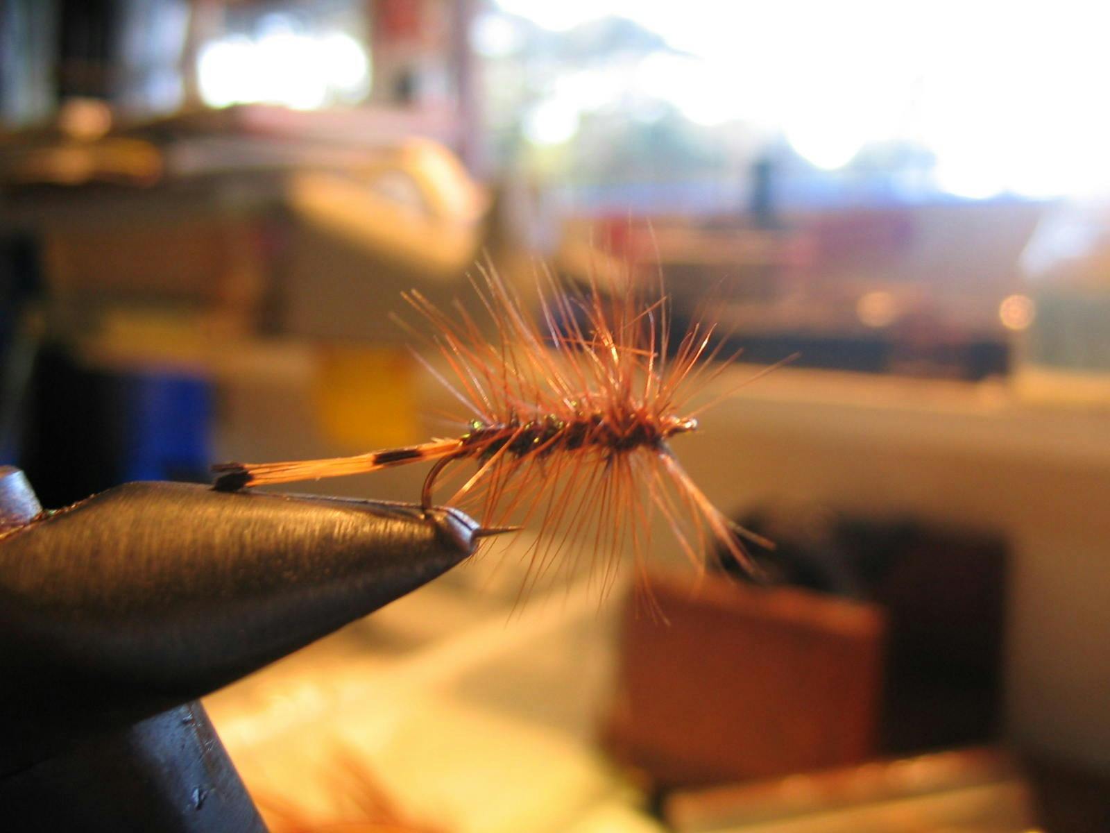 Flys that catch fish