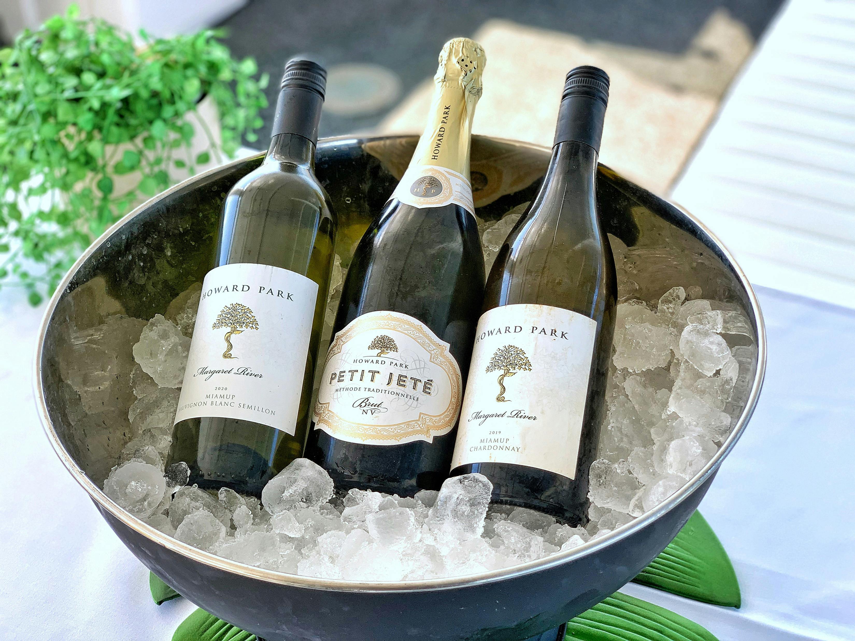 Rottnest Cruises - Luxe Island Seafood Cruise