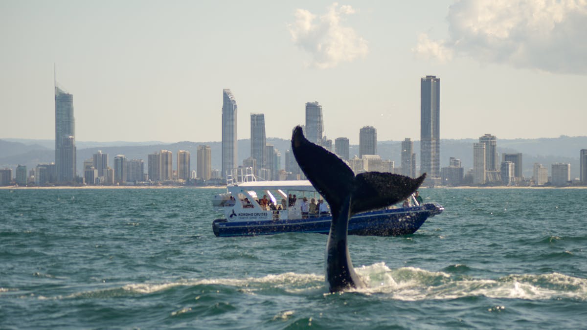The views from onboard Kokomo Cruises