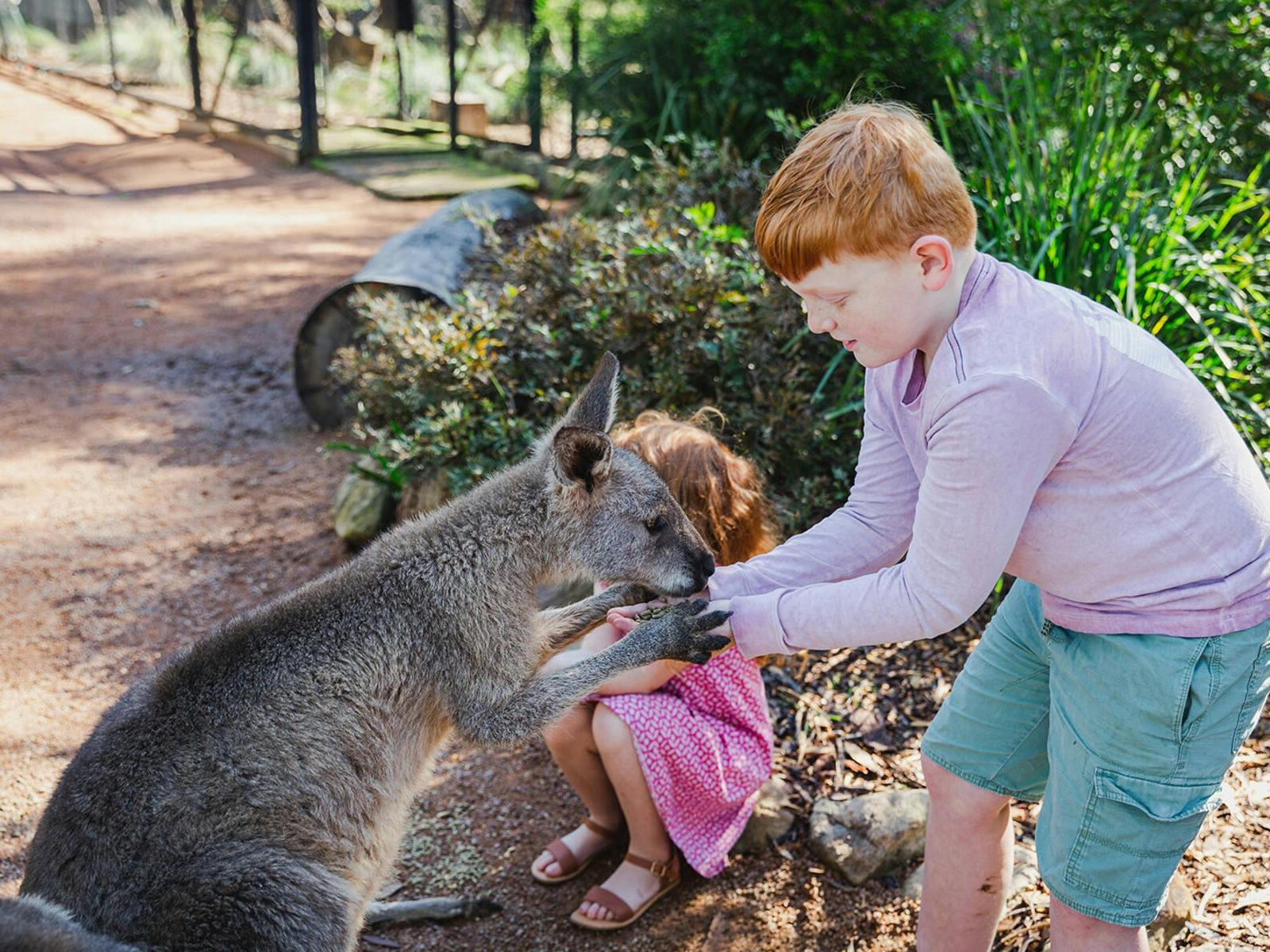 호주 야생동물 보호구역