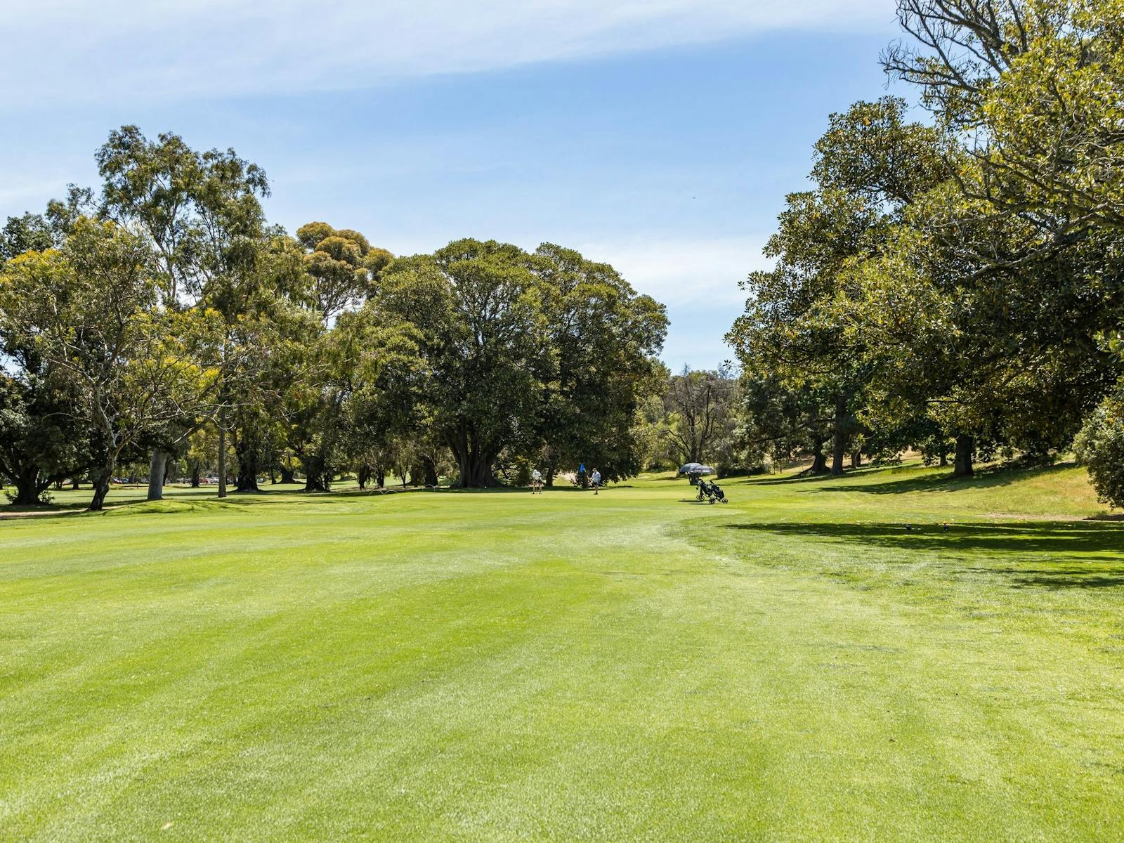 North Adelaide Golf Course Slider Image 3