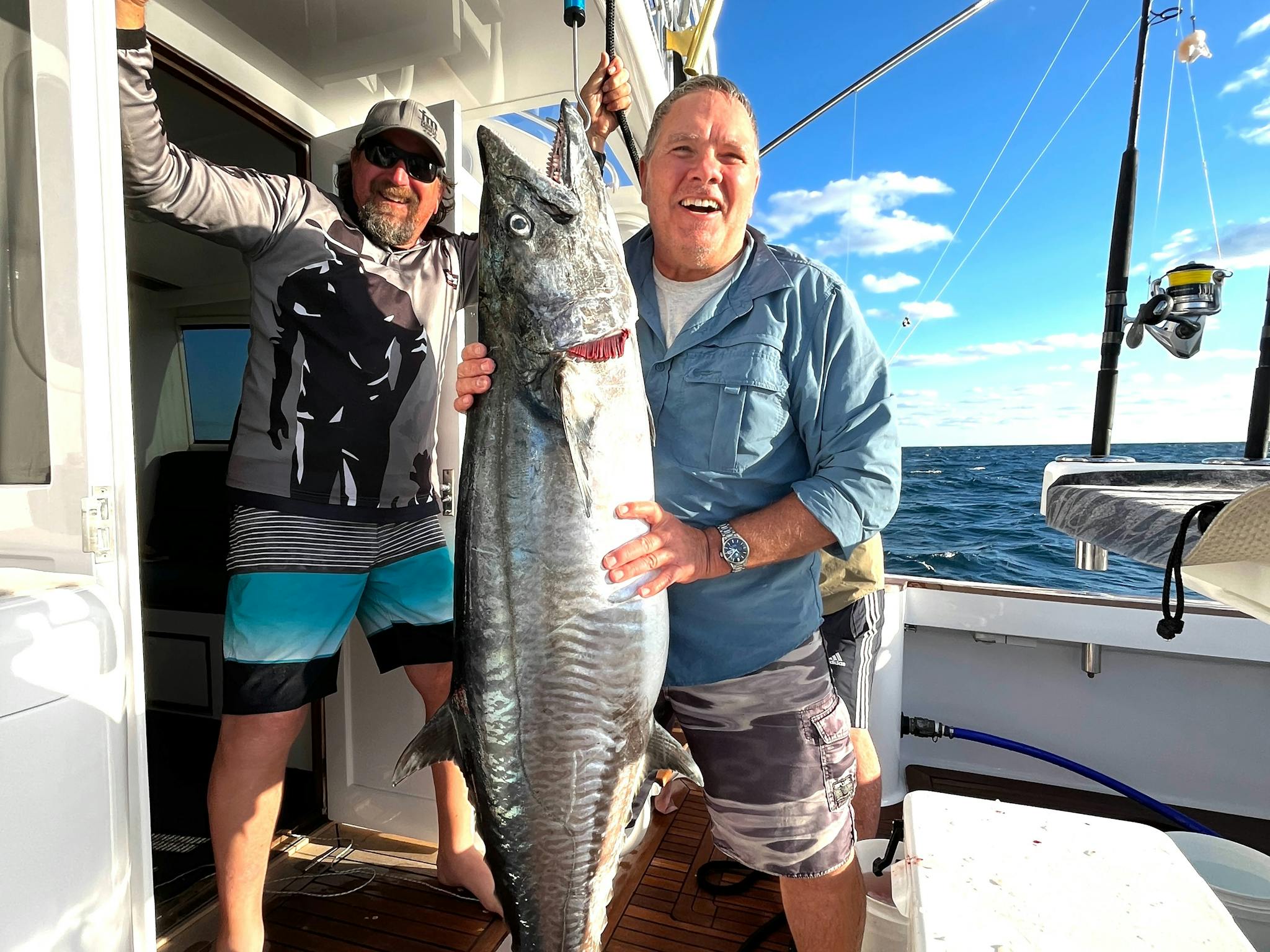 25 kg Spanish Mackerel 25 kg Spanish Mackerel