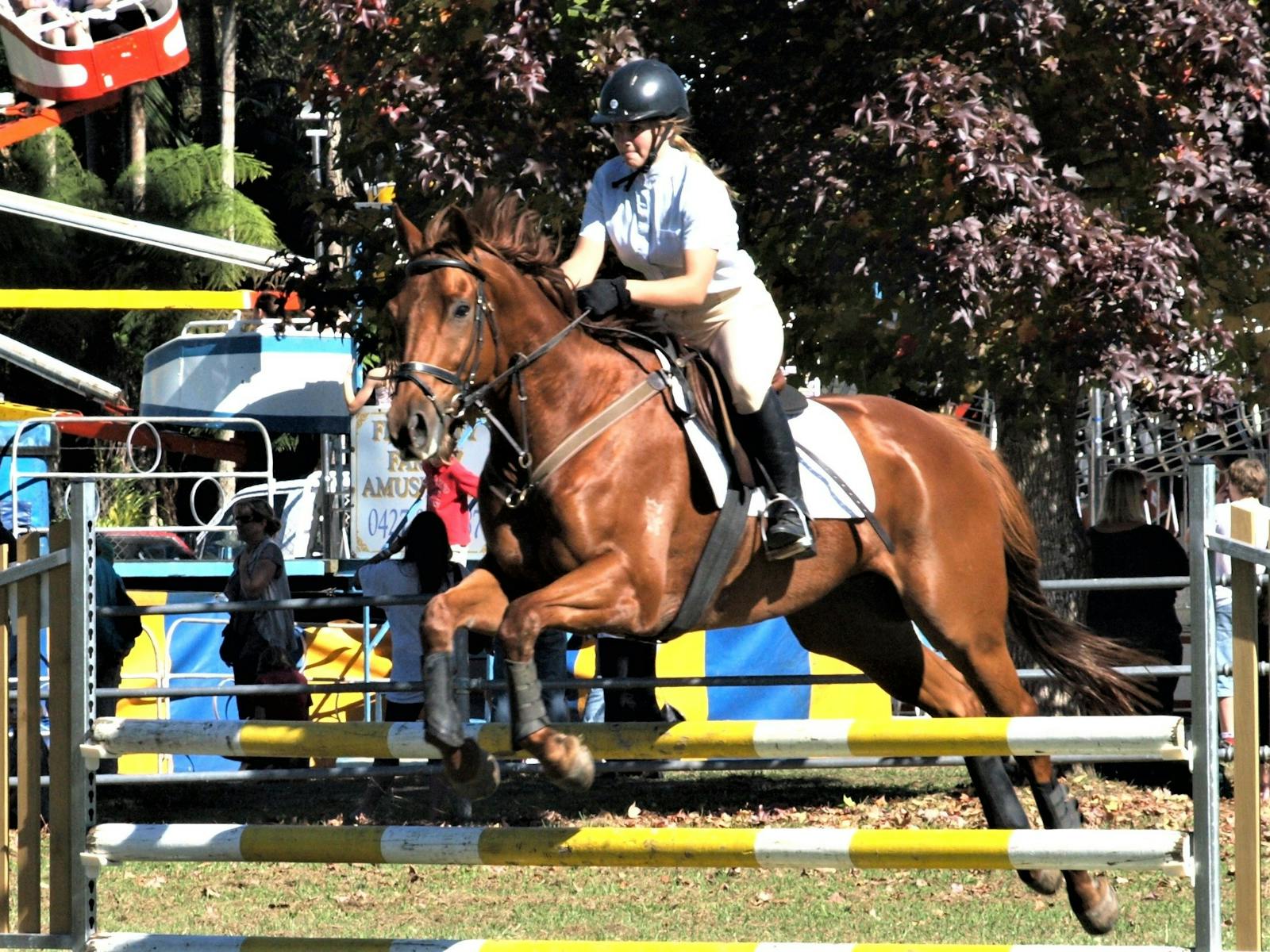 Image for Bellinger River Agricultural Society Inc
