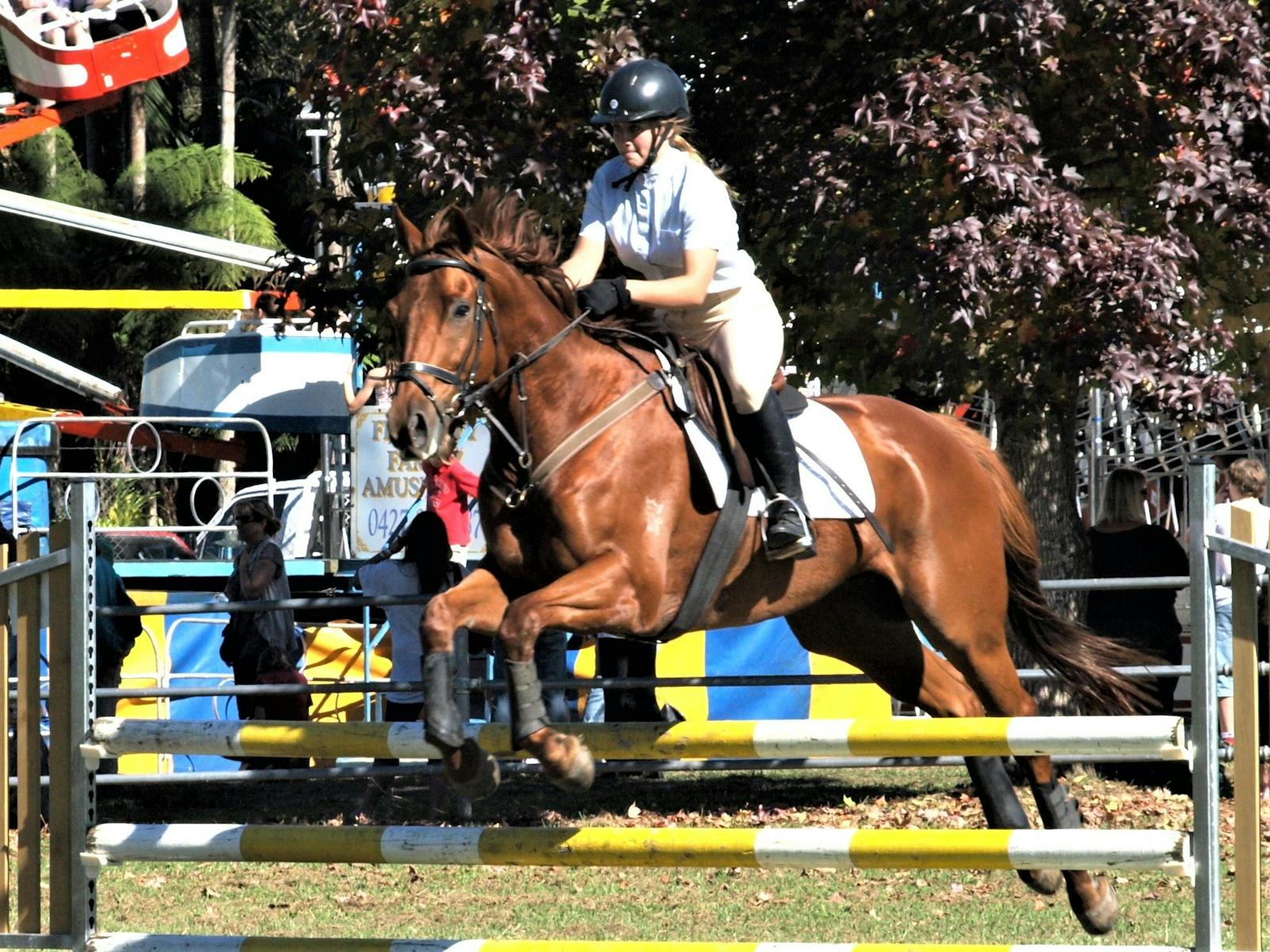 Image for Bellingen Show -Bellinger River Agricultural Society Inc