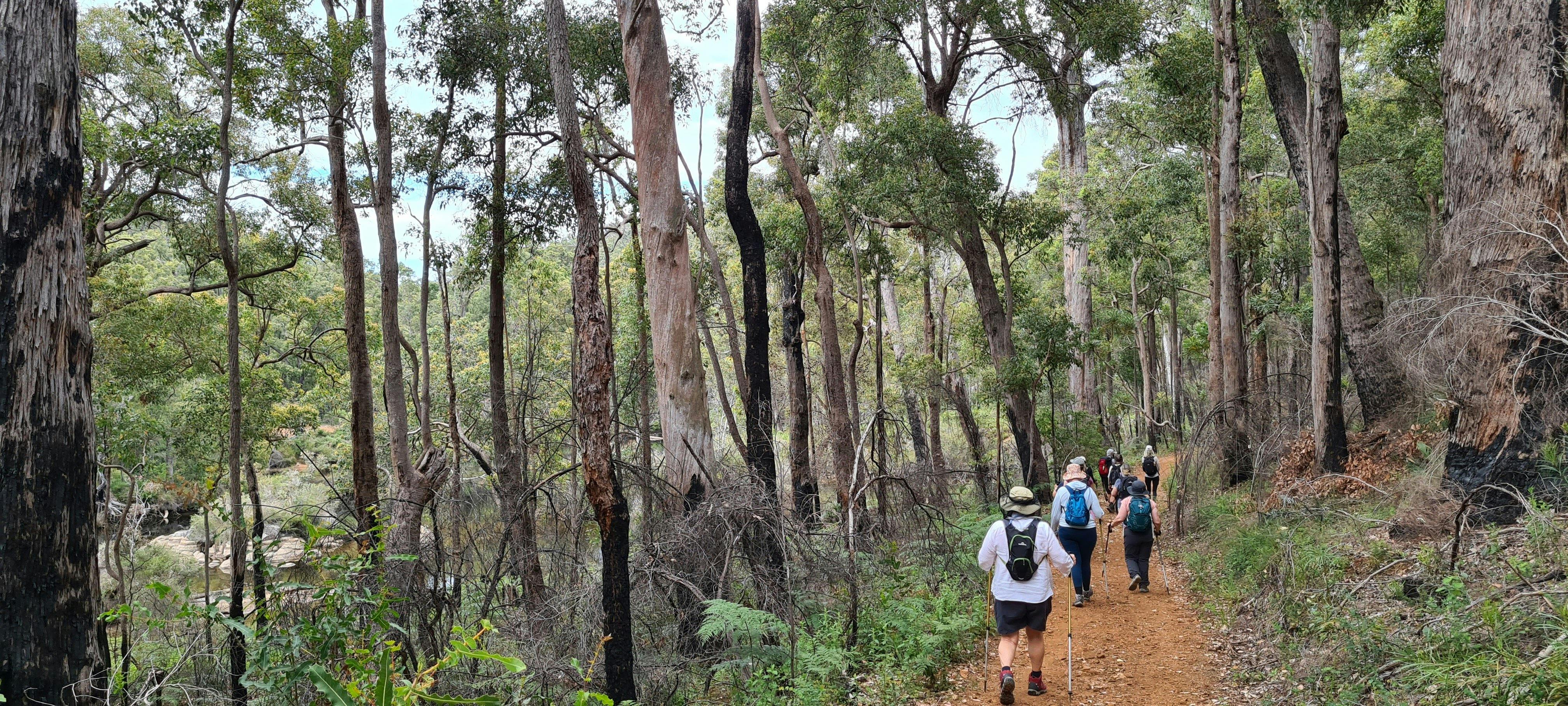 Collie | Hike, Wine & Dine Experience