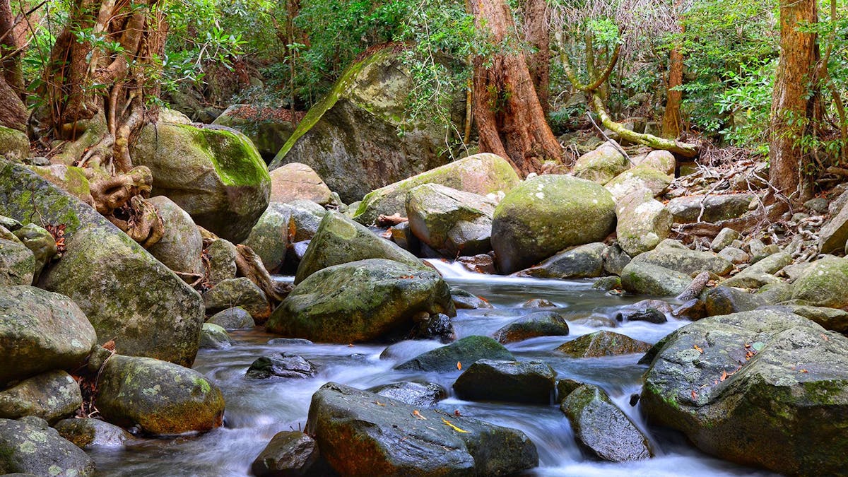 Mungumby Creek 20 metres from the homestead